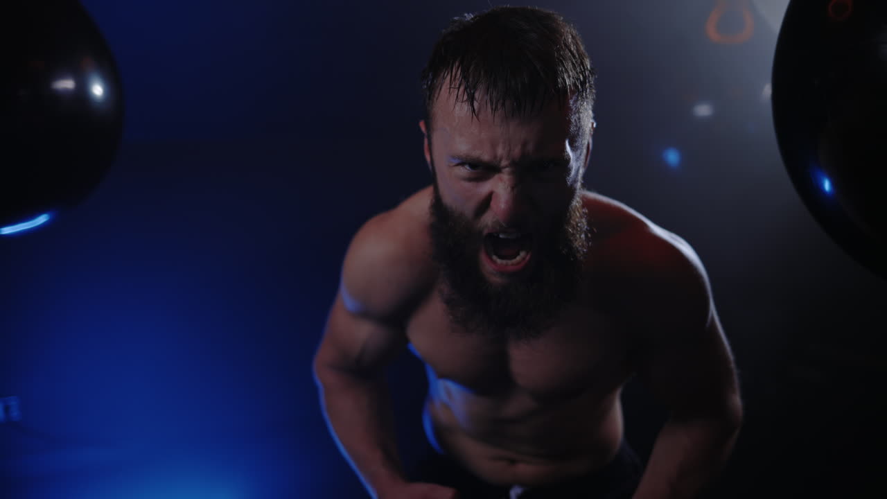 Angry Boxer Training