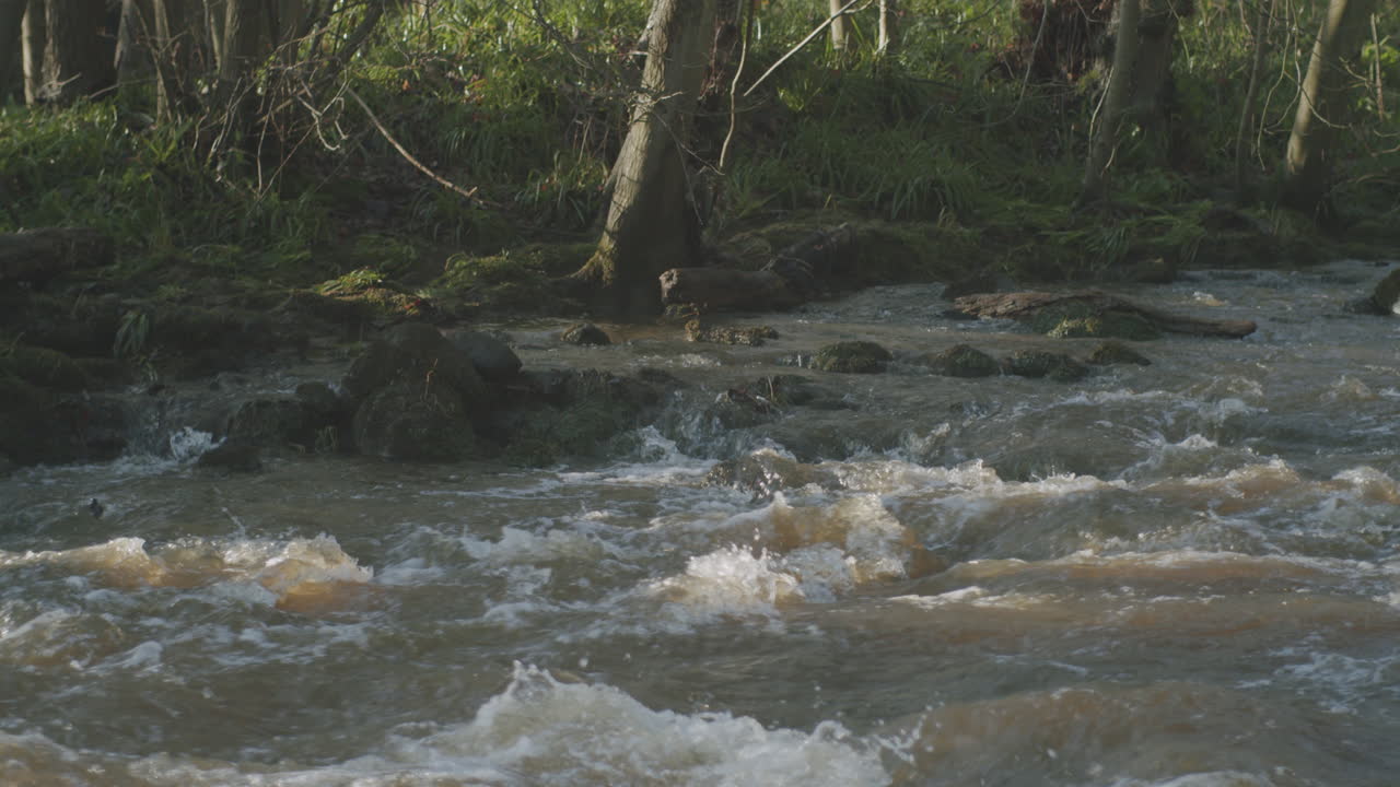 North York Moors, Fiume Esk in piena, tarda estate, autunno, in slow motion - Clip 15.