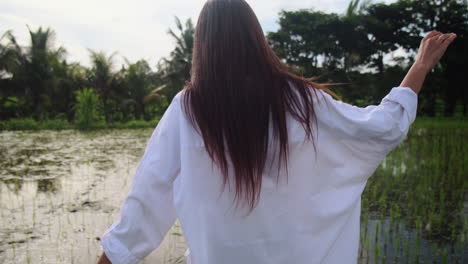woman walking through rice paddy