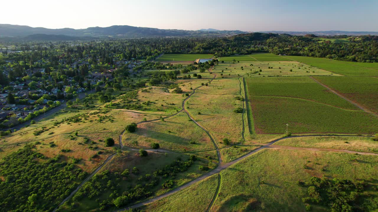 Napa Valley, California. Slow aerial panoramic descent and pull-up over lush, vibrant green rolling hills along a hiking trail near vineyards during sunrise, showcasing the vast expanse of trails.