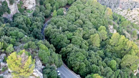 Mountain-Road-through-Lush-green-foliage-of-flourishing-tree-in-natural-surroundings