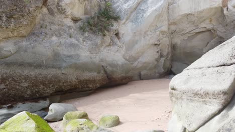 at low tide this cave is accessible across the golden sand entrance behind seaweed covered rocks that disappear under water at high tide