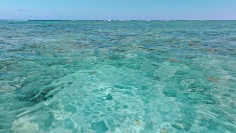 Diving-area-and-corals-in-Playa-Blanca-watery,-Punta-Cana