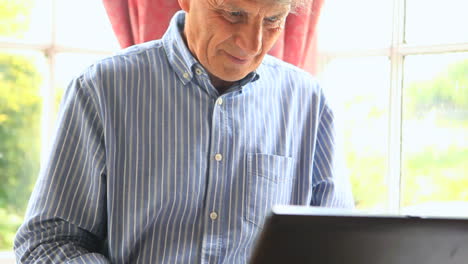 Focused mature man sitting by a window using his computer
