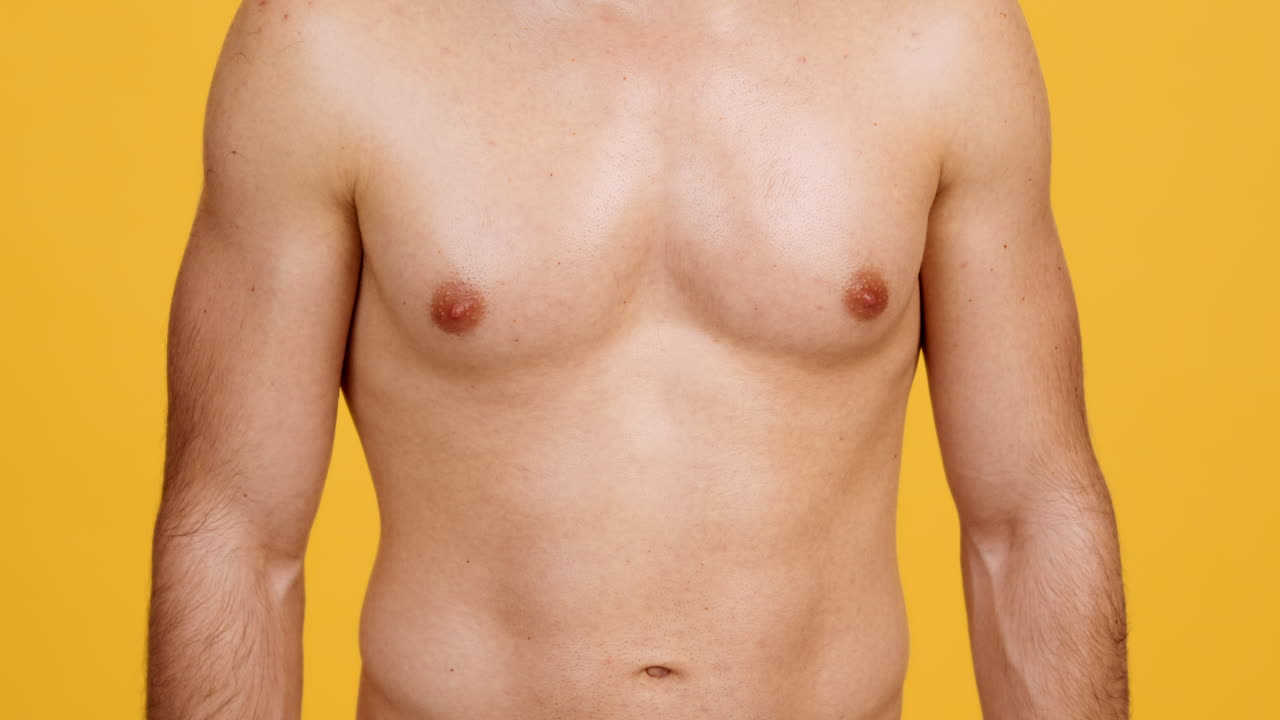 Muscular Man's Torso