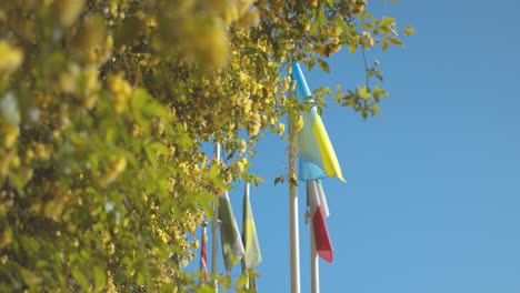 ukrainian flag on pole amongst other nation flags, support in war against russia