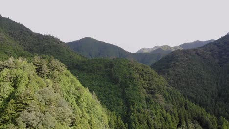 aerial drone shot of japanese mountain with trees and light from the setting sun