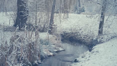 La-Primera-Nevada-En-El-Bosque