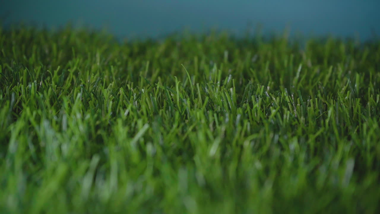 자연 단어 편지