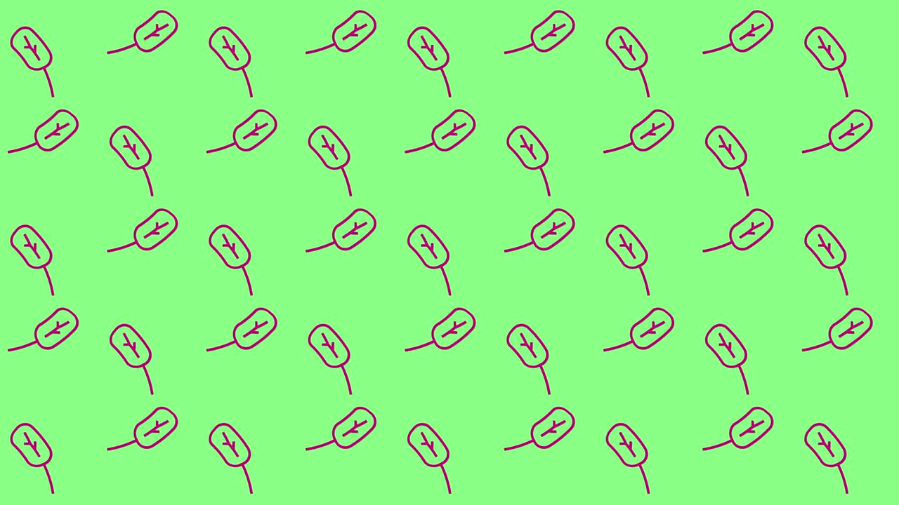 추상적인 트리 밴드 패턴, 미니멀 컨셉 애니메이션