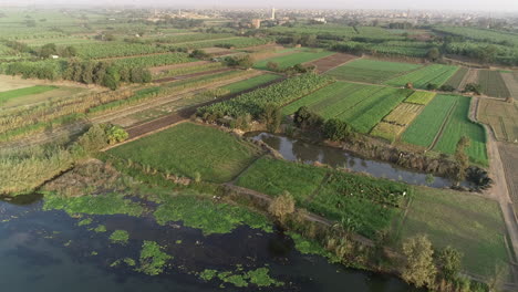 Toma-Aérea-Del-Río-Nilo-De-Egipto-En-El-Cairo,-Rodeada-Por-Las-Verdes-Tierras-Del-Valle-Del-Nilo-Junto-A-Giza-Y-El-Delta-Del-Norte-De-Egipto.