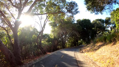 andar en bicicleta por un pintoresco sendero para bicicletas en un día cálido y soleado
