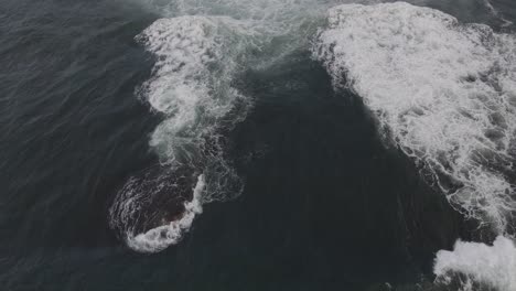 Extreme-Sea-Waves-Breaking-On-A-Bommie-Rock---Gordon's-Bay-Bommie-In-Coogee,-Australia---tilt-up-drone