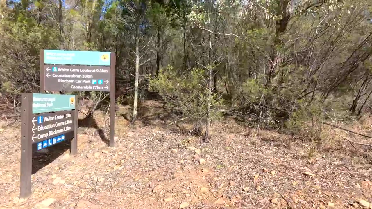 Camera pans from directional signs across dry eucalyptus bushland toward a rural asphalt road