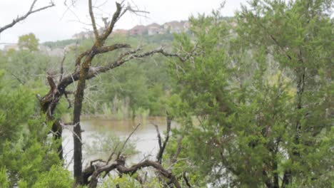 Parque-Inundado-Después-De-Fuertes-Lluvias