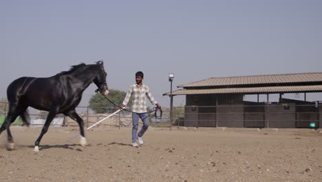 a slow-motion of south asian man is training a majestic black horse in a fenced rural area on a sunny day