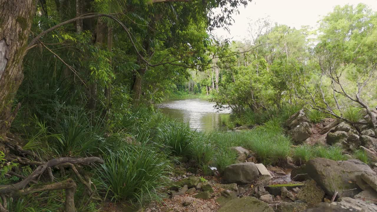 울창한 숲과 강이 드론으로 촬영되었습니다.