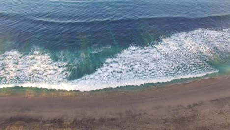 Aerial-Shot-of-Beach-and-Palm-Trees