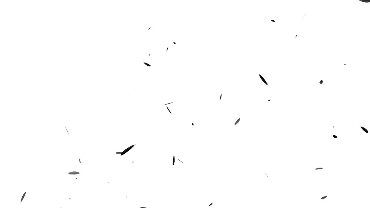 Black feather soaring particle motion graphics