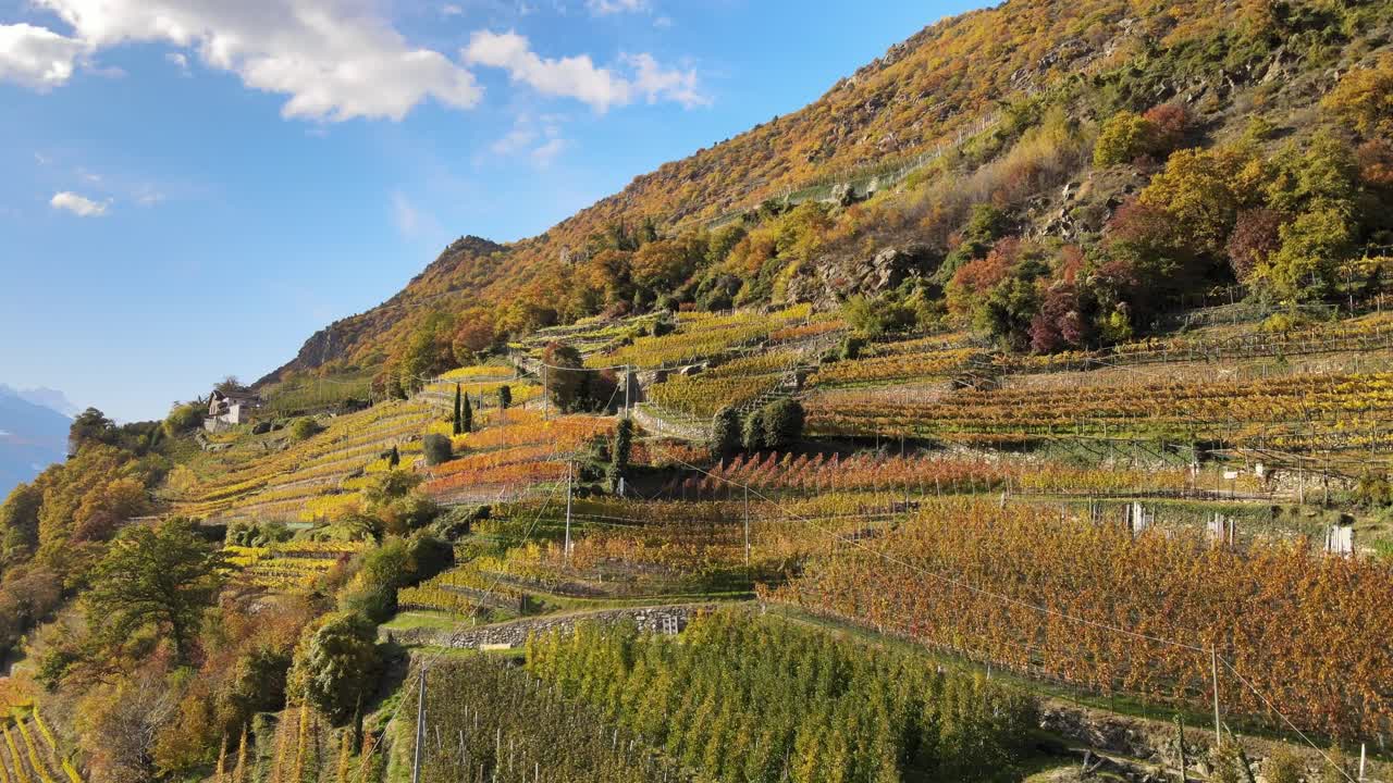 Drone aereo sopra i vigneti in Italia.