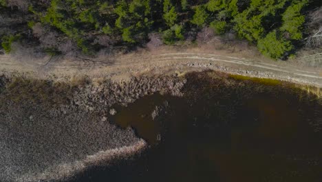 top down aerial drone footage view of ülemiste lake during a sunny day. a rural road with no people and overgrown brown grass is visible on the shoreline of the lake and the water is brown colored.
