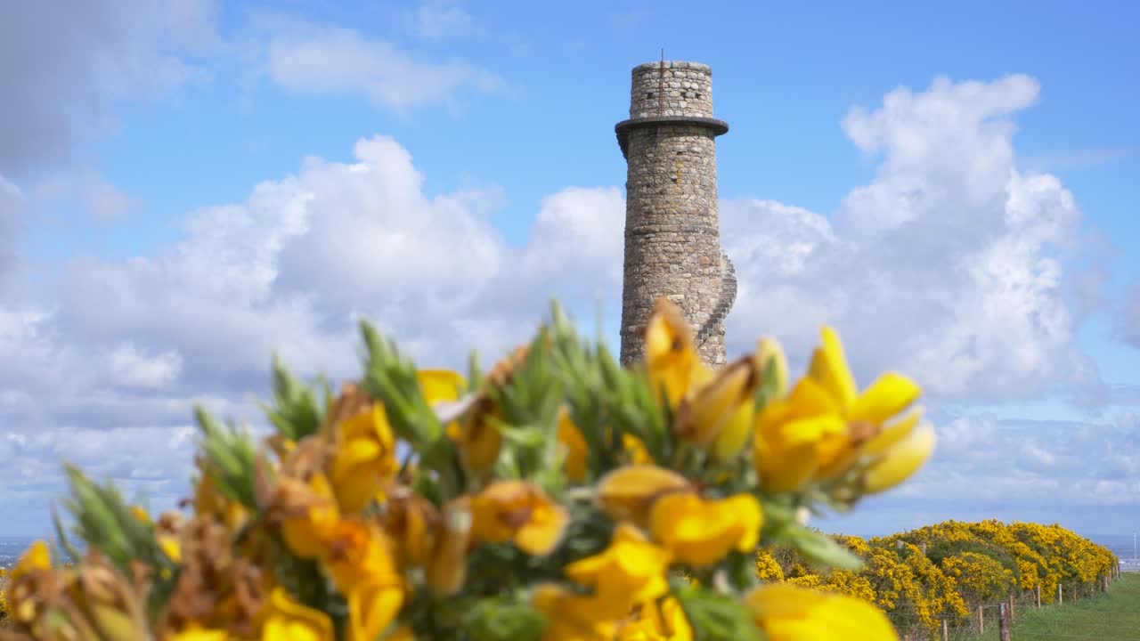 torre de minas de plomo de ballycorus condado de carrickgolligan dublín irlanda