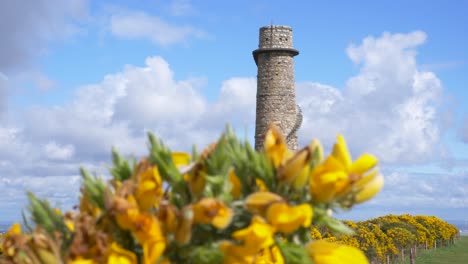 Torre-De-Minas-De-Plomo-De-Ballycorus-Condado-De-Carrickgolligan-Dublín-Irlanda