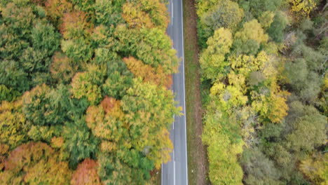 Landstraße-Entlang-Eines-Wunderschönen-Waldes