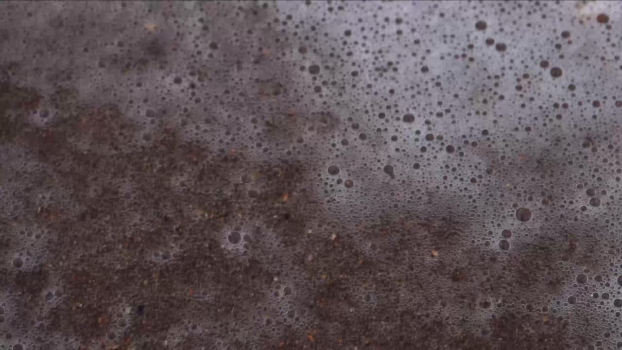 burbujas de olas que salen de la playa para revelar conchas marinas
