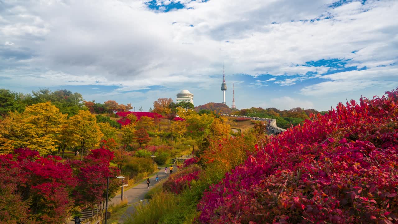 서울 시의 남산 공원의 가을.