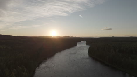 drone shot flying over a calm river in norway during golden hour in between green pine trees on a sunny day log