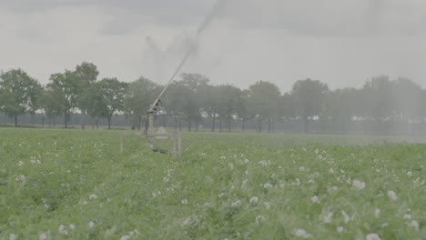 Aspersor-De-Agua-Grande-En-Campo-De-Patatas