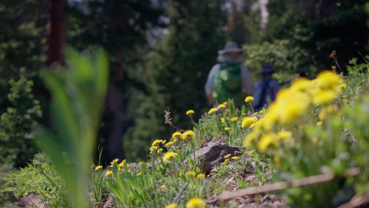 Blurry Hikers in the distance with Yellow Flowers visible | Blue Lakes Trail, Colorado