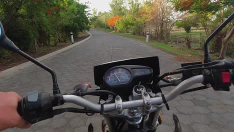 motocicleta pov: conducir camino de pavimento de piedra en el follaje de color de otoño