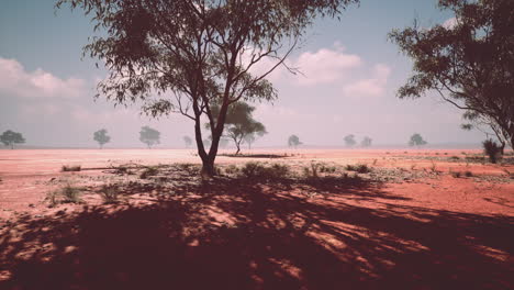 Afrikanische-Landschaft-Mit-Wunderschönen-Akazienbäumen