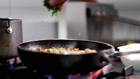 close up view of a chef adding herbals and parsley to a beef stew in a frying pan skillet in a restaurant kitchen cuisine in slow motion.