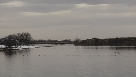 Kanadagänse-Fliegen-Und-Schwimmen-Auf-Einem-Ruhigen-See-In-Chester,-Idaho-Bei-Einem-Bewölkten-Sonnenuntergang-Im-Winter