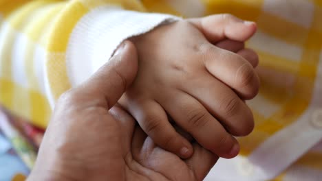 a child's hand held by an adult