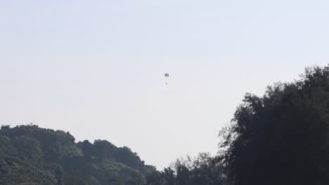 parachutist descending against a backdrop of trees