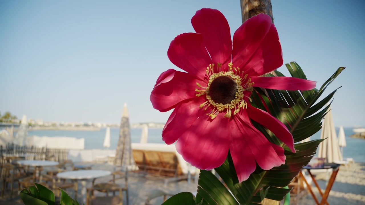 Grande flor decorativa rosa exibida em um resort de luxo à beira-mar com espreguiçadeiras e vista para o mar ao fundo