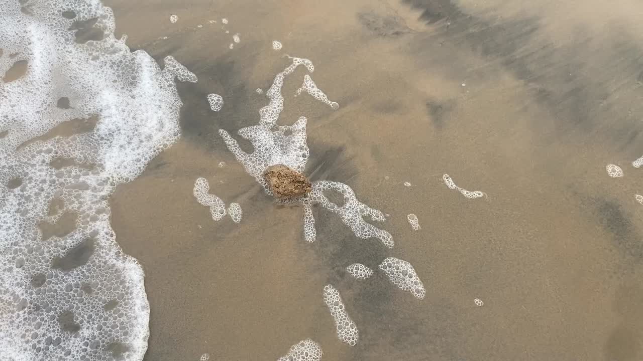 아름다운 바위  ⁇ 어리가 파도에 의해 해변에서 형성