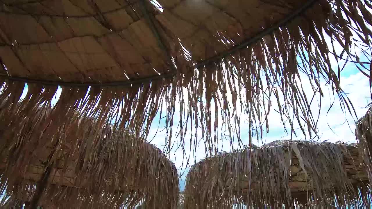 el bar de la playa umbrella en grecia.