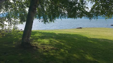 birch trees surround a serene seaside in backyard of a luxury property in lions bay with a view of the mountain in bowen island