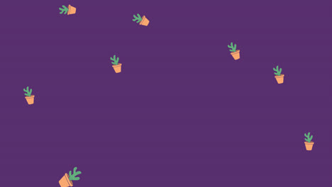 Animation-of-illustration-of-cacti-in-pots-falling-on-purple-background