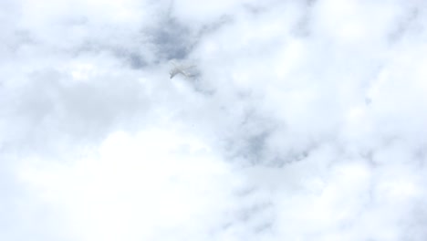 avión volando por el aire sobre el támesis cerca de canary wharf a través de la niebla