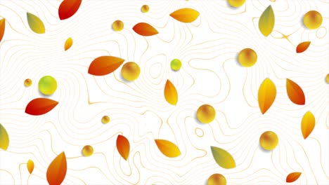 autumn leaves and glossy beads on white background video animation