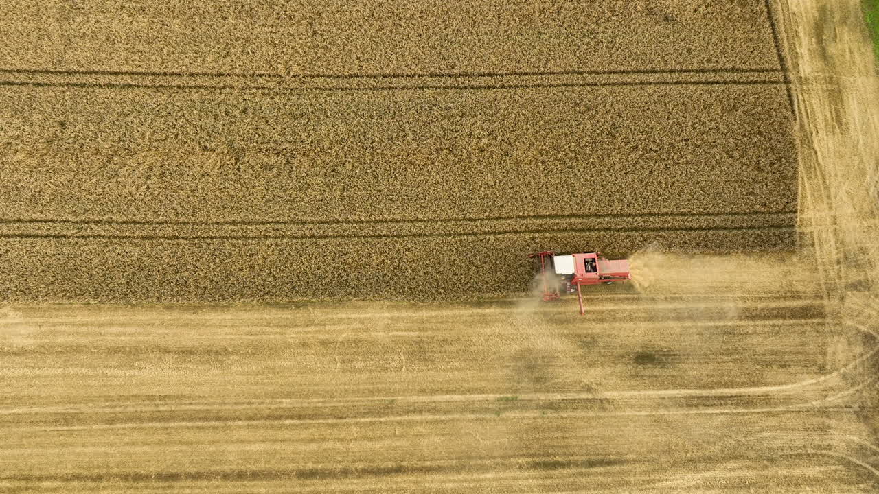 Aerial view of a combine harvester working in a vast golden wheat field