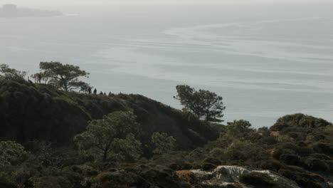 Visitors-hike-the-trails-at-Torrey-Pines-State-Natural-Reserve-in-San-Diego,-California