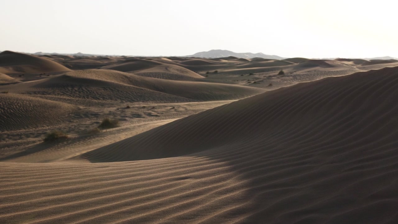 Un paesaggio desertico mediorientale vicino a Dubai negli Emirati Arabi Uniti. Sabbia, strada nel deserto, tramonto, aereo, timelapse, sole, cielo, notte, guida, strada, Medio Oriente, pianta, arbusto, cespuglio, grano