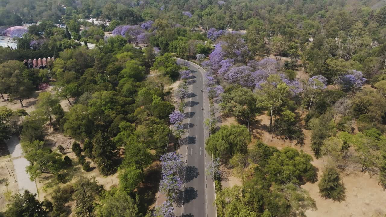 Aerial Shot Of Chapultepec Park, Natural Green Forest At Sunny Day, Mexico